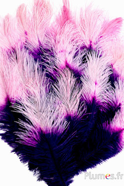 Struisvogel - 30-40 cm - paars-pink-zacht roze